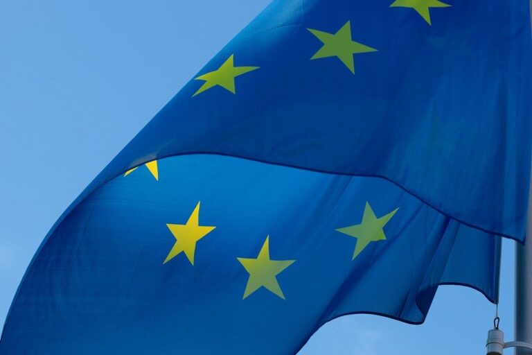 Corona-Erklärung der Green Seniors zum Europatag 2020